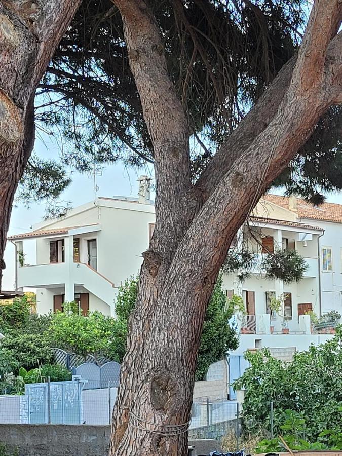Bed and Breakfast L'Asfodelo La Maddalena  Zewnętrze zdjęcie